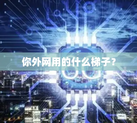 你外网用的什么梯子？