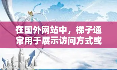在国外网站中，梯子通常用于展示访问方式或导航按钮。以下是一些可能的使用场景和建议