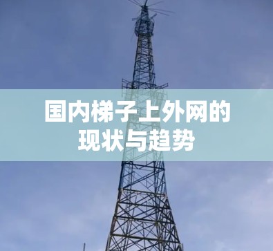 国内梯子上外网的现状与趋势
