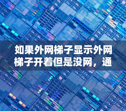 如果外网梯子显示外网梯子开着但是没网，通常可能是由于多种因素导致的，以下是一些可能的原因和解决方法