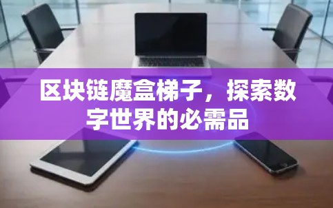 区块链魔盒梯子，探索数字世界的必需品