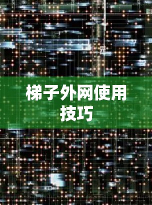 梯子外网使用技巧