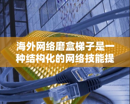 海外网络磨盒梯子是一种结构化的网络技能提升计划，帮助你逐步从普通职场到高管再到跨国公司，提升你的网络技能并实现职业目标。以下是该梯子的详细分步指南