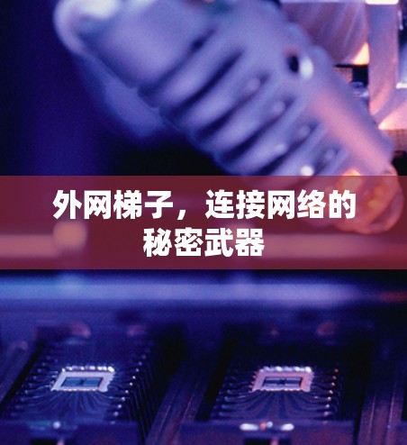 外网梯子，连接网络的秘密武器