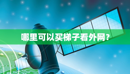 哪里可以买梯子看外网？