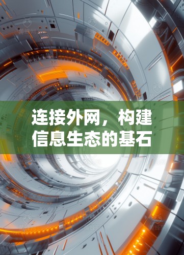 连接外网，构建信息生态的基石