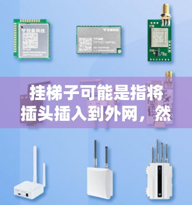 挂梯子可能是指将插头插入到外网，然后连接到互联网。如果你在使用设备时遇到外网网速的问题，可能需要从以下几个方面来解决