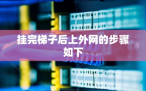 挂完梯子后上外网的步骤如下