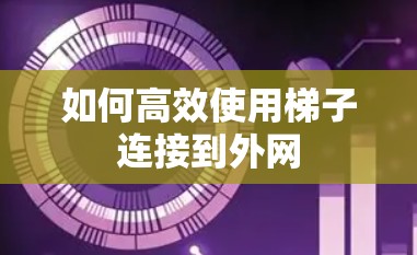 如何高效使用梯子连接到外网