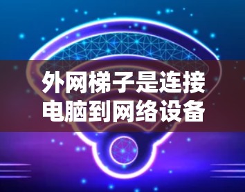 外网梯子是连接电脑到网络设备的重要工具,可以根据不同的需求选择适合的类型。以下是几种常见的外网梯子类型及其适用场景