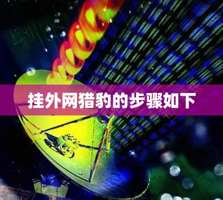 挂外网猎豹的步骤如下