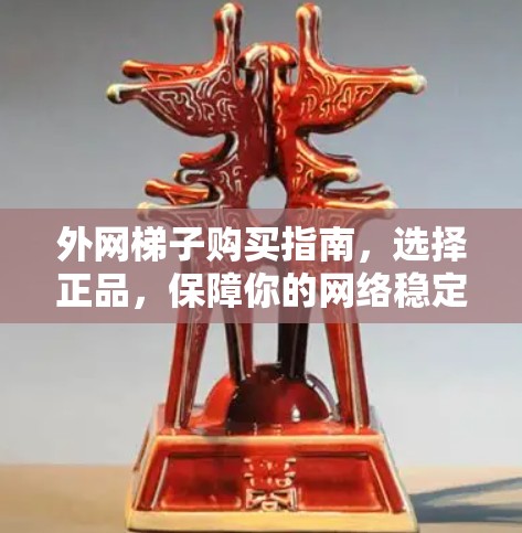 外网梯子购买指南，选择正品，保障你的网络稳定