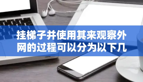 挂梯子并使用其来观察外网的过程可以分为以下几个步骤,确保操作顺利且观察清晰