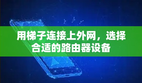 用梯子连接上外网，选择合适的路由器设备