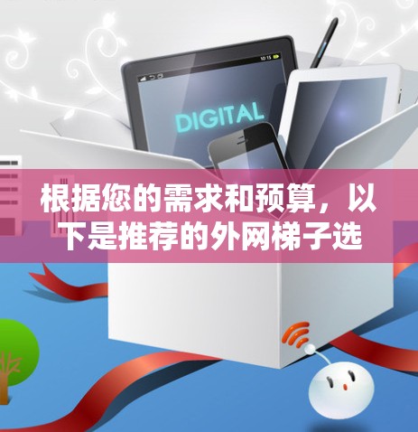 根据您的需求和预算,以下是推荐的外网梯子选择 根据您的需求和预算,以下是推荐的外网梯子选择