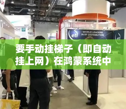 要手动挂梯子（即自动挂上网）在鸿蒙系统中，可以通过以下步骤实现