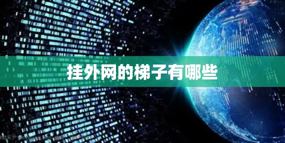 挂外网的梯子有哪些 挂外网的梯子有哪些
