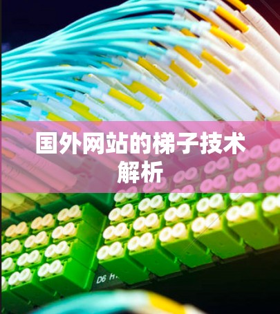 国外网站的梯子技术解析