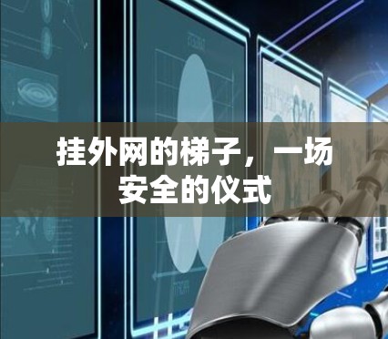 挂外网的梯子，一场安全的仪式