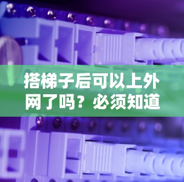 搭梯子后可以上外网了吗?必须知道的步骤和注意事项