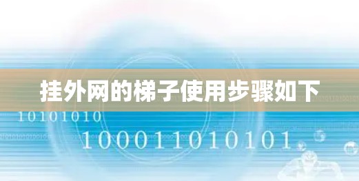 挂外网的梯子使用步骤如下