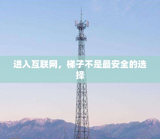 进入互联网，梯子不是最安全的选择