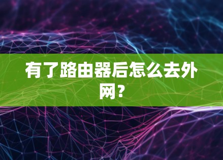 有了路由器后怎么去外网？
