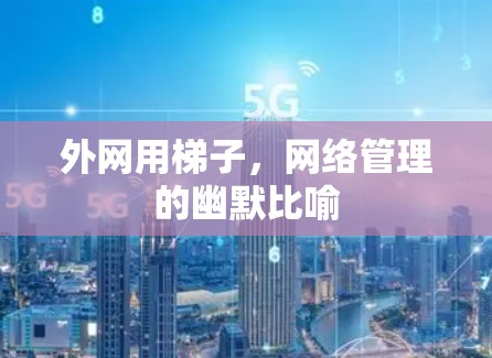 外网用梯子，网络管理的幽默比喻
