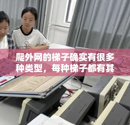 爬外网的梯子确实有很多种类型，每种梯子都有其独特的设计和特点，适合不同的使用场景。以下是一些常见的类型及其特点