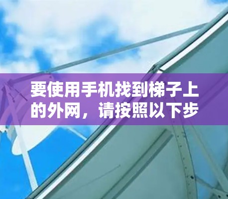 要使用手机找到梯子上的外网，请按照以下步骤操作