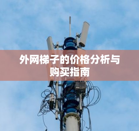 外网梯子的价格分析与购买指南
