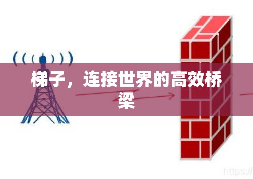 梯子，连接世界的高效桥梁