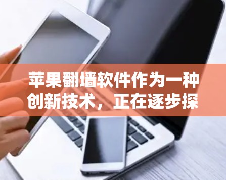 苹果<strong>翻墙</strong>软件作为一种创新技术，正在逐步探索其应用价值。以下是对该项目的详细分析和总结