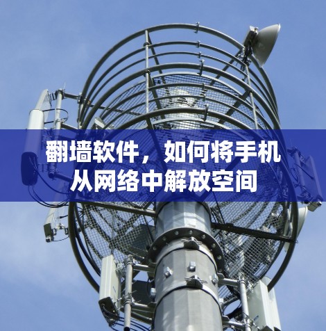 <strong>翻墙</strong>软件，如何将手机从网络中解放空间