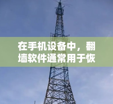 在手机设备中,<strong>翻墙</strong>软件通常用于恢复或查看手机上的数据。以下是一些常见的手机<strong>翻墙</strong>软件及其特点