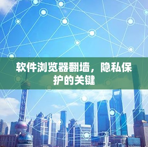 软件浏览器<strong>翻墙</strong>,隐私保护的关键