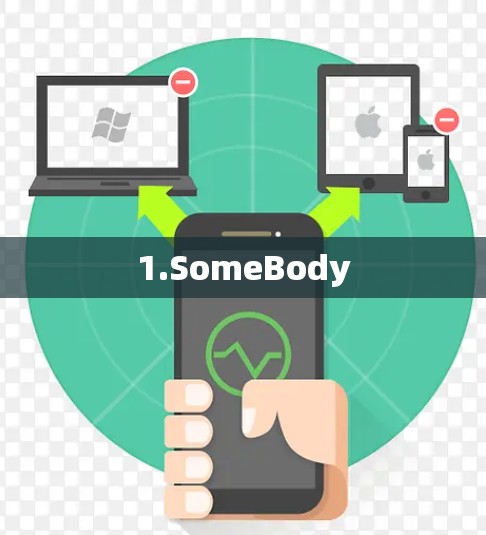 1.SomeBody