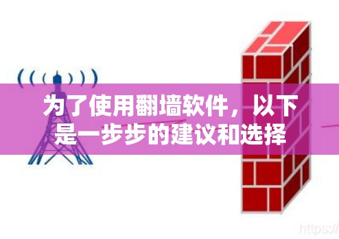为了使用<strong>翻墙</strong>软件,以下是一步步的建议和选择