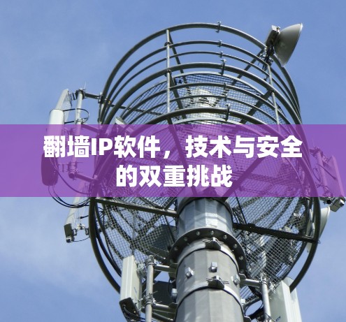 <strong>翻墙</strong>IP软件,技术与安全的双重挑战