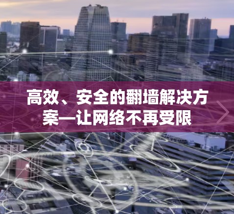 高效、安全的<strong>翻墙</strong>解决方案—让网络不再受限