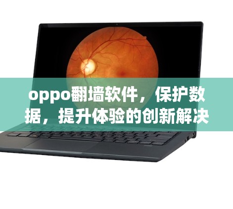 oppo<strong>翻墙</strong>软件，保护数据，提升体验的创新解决方案