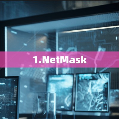 1.NetMask