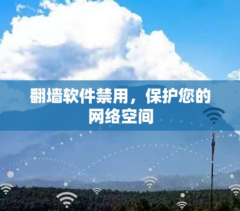 <strong>翻墙</strong>软件禁用，保护您的网络空间