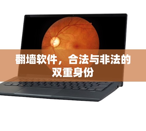 <strong>翻墙</strong>软件,合法与非法的双重身份