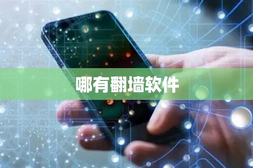 哪有<strong>翻墙</strong>软件