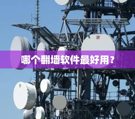 哪个<strong>翻墙</strong>软件最好用？