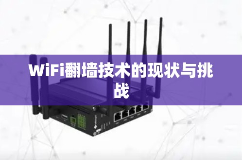 WiFi<strong>翻墙</strong>技术的现状与挑战