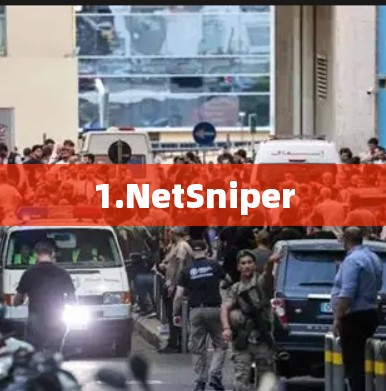 1.NetSniper