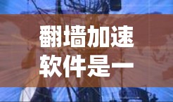 <strong>翻墙</strong>加速软件是一种用于改变推特等网站访问方式的工具,通过调整网页来源服务器或链接来源服务器,使其看起来像是来自另一台服务器,以提高访问速度或防止网络限制。以下是详细的使用指南和建议