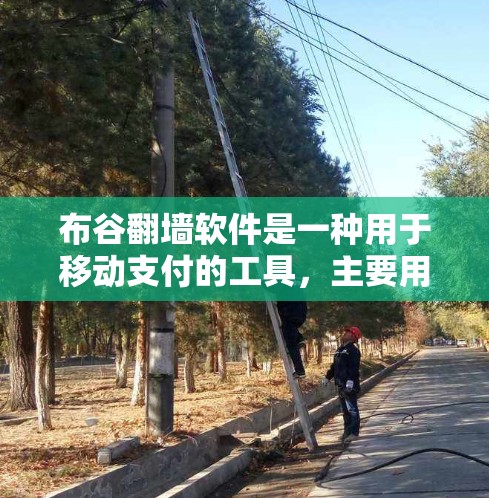 布谷<strong>翻墙</strong>软件是一种用于移动支付的工具，主要用于下载和注册游戏。它通过将游戏链接传输到用户手机上，简化了用户的操作流程。以下是对该软件的详细解答